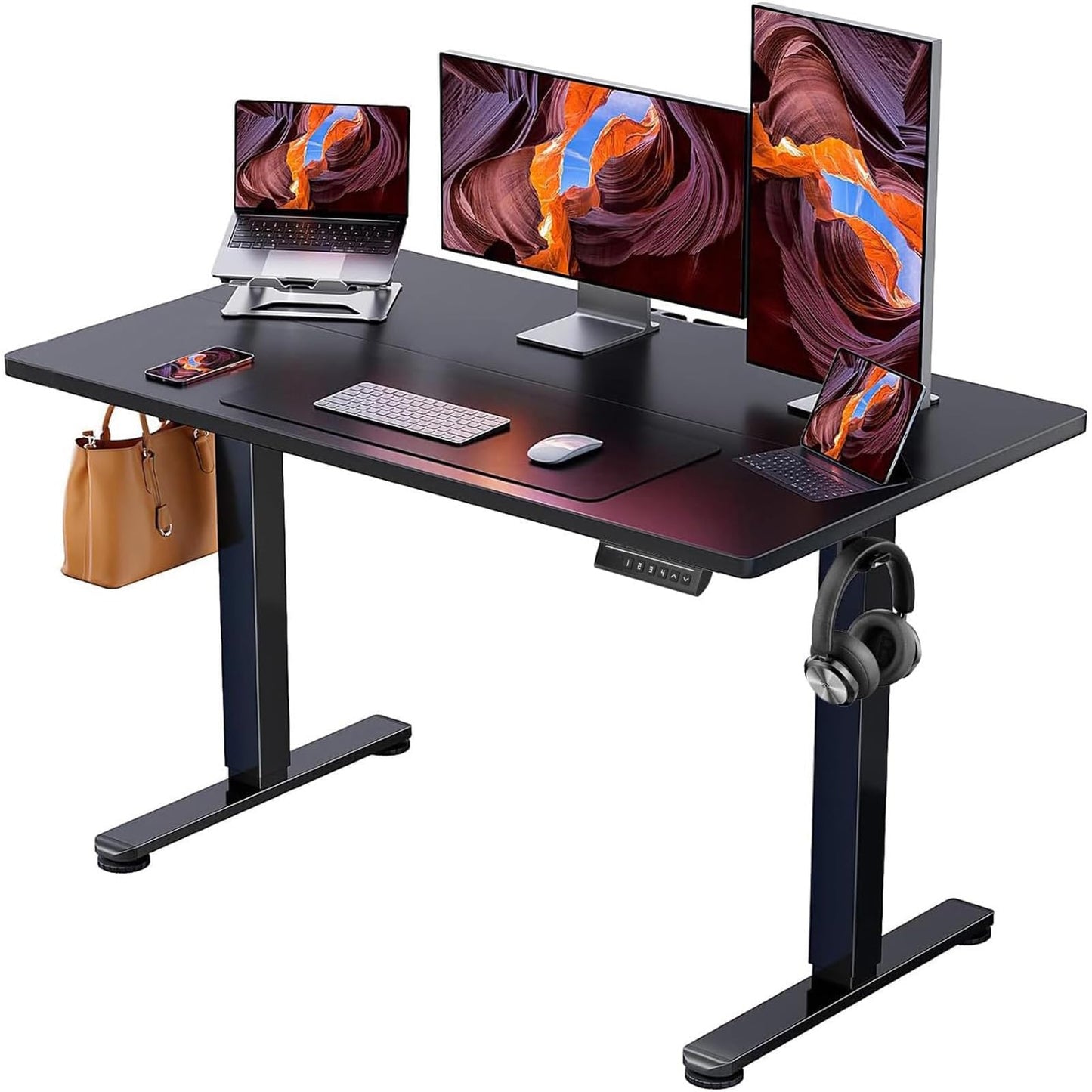 ERGEAR Height Adjustable Electric Standing Desk - Black