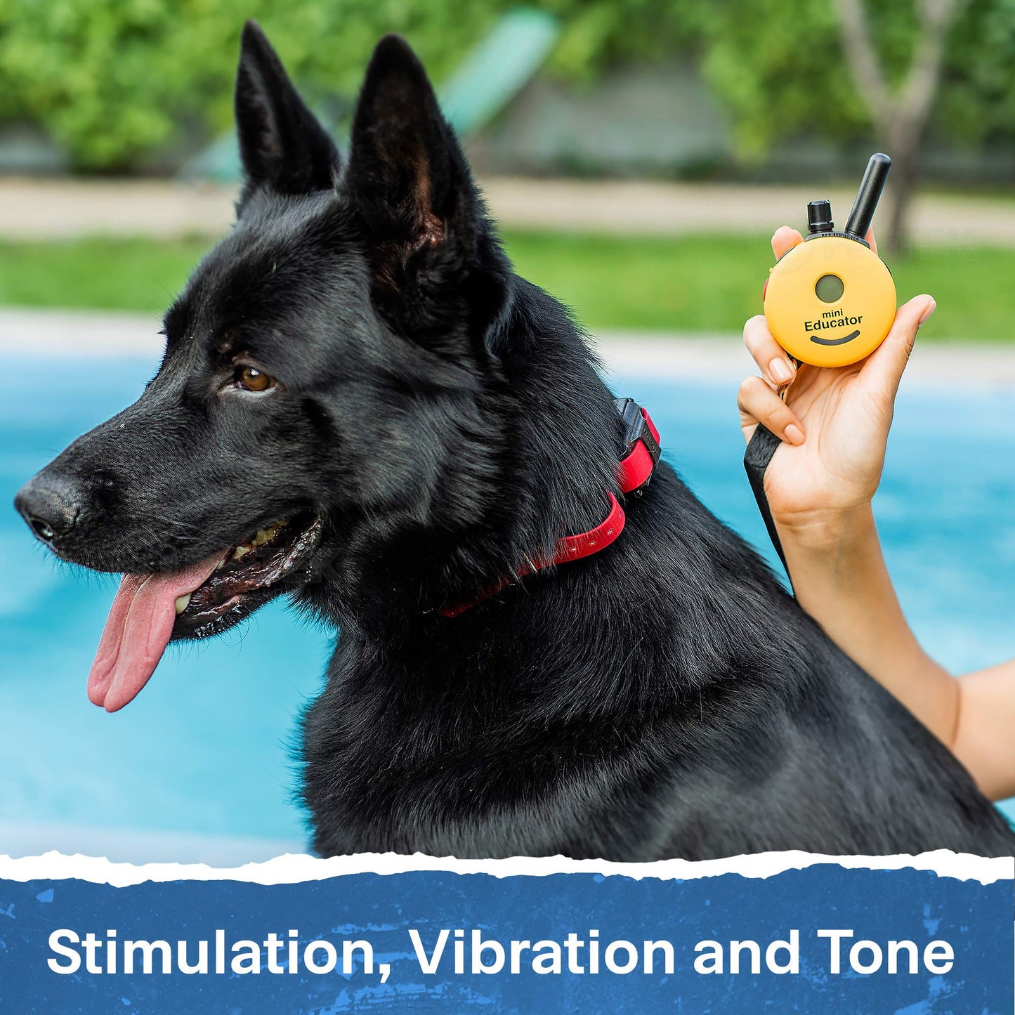 EDUCATOR ET-300 Mini E Collar - Remote Dog Training Device