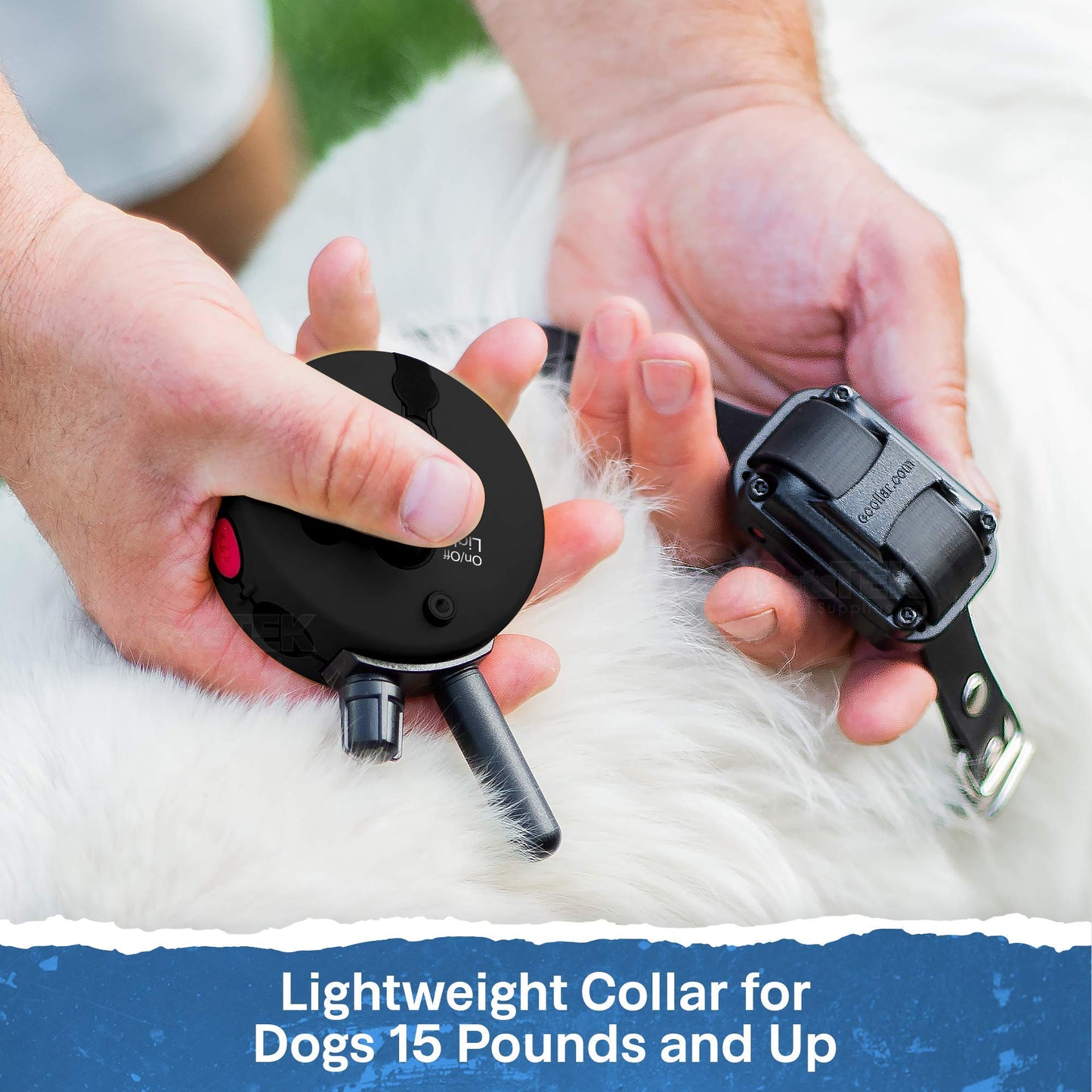EDUCATOR ET-300 Black Mini E Collar for Dog Training Remote
