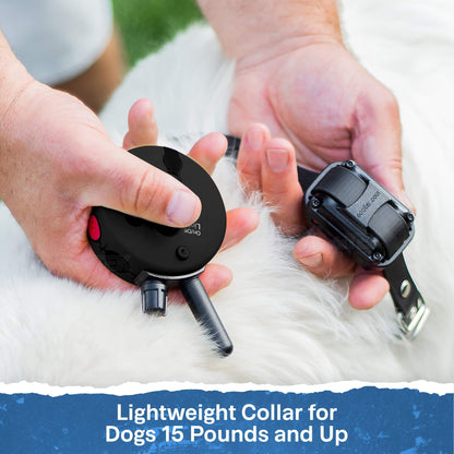 EDUCATOR ET-300 Black Mini E Collar for Dog Training Remote