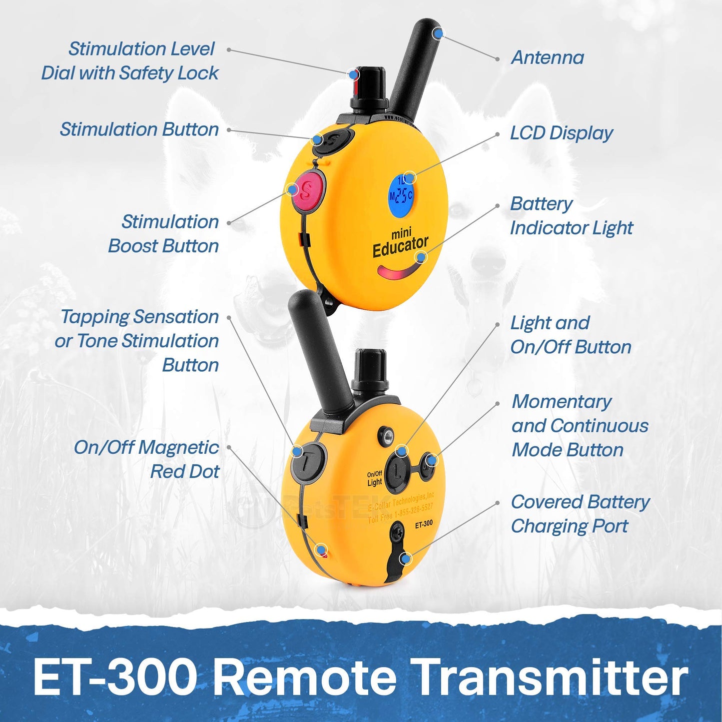 EDUCATOR ET-300 Mini E Collar - Remote Dog Training Device