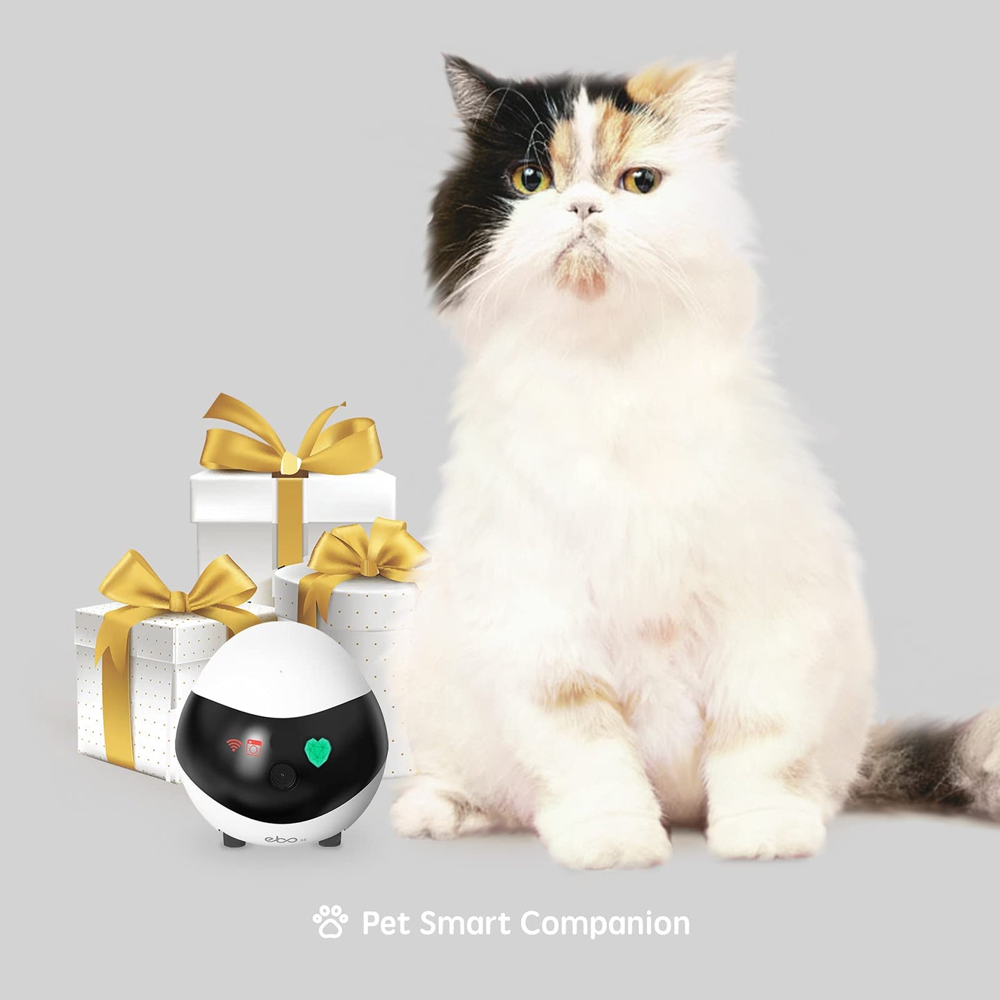 ENABOT EBO SE FamilyBot Home Camera Robot - 1080P Pet Camera