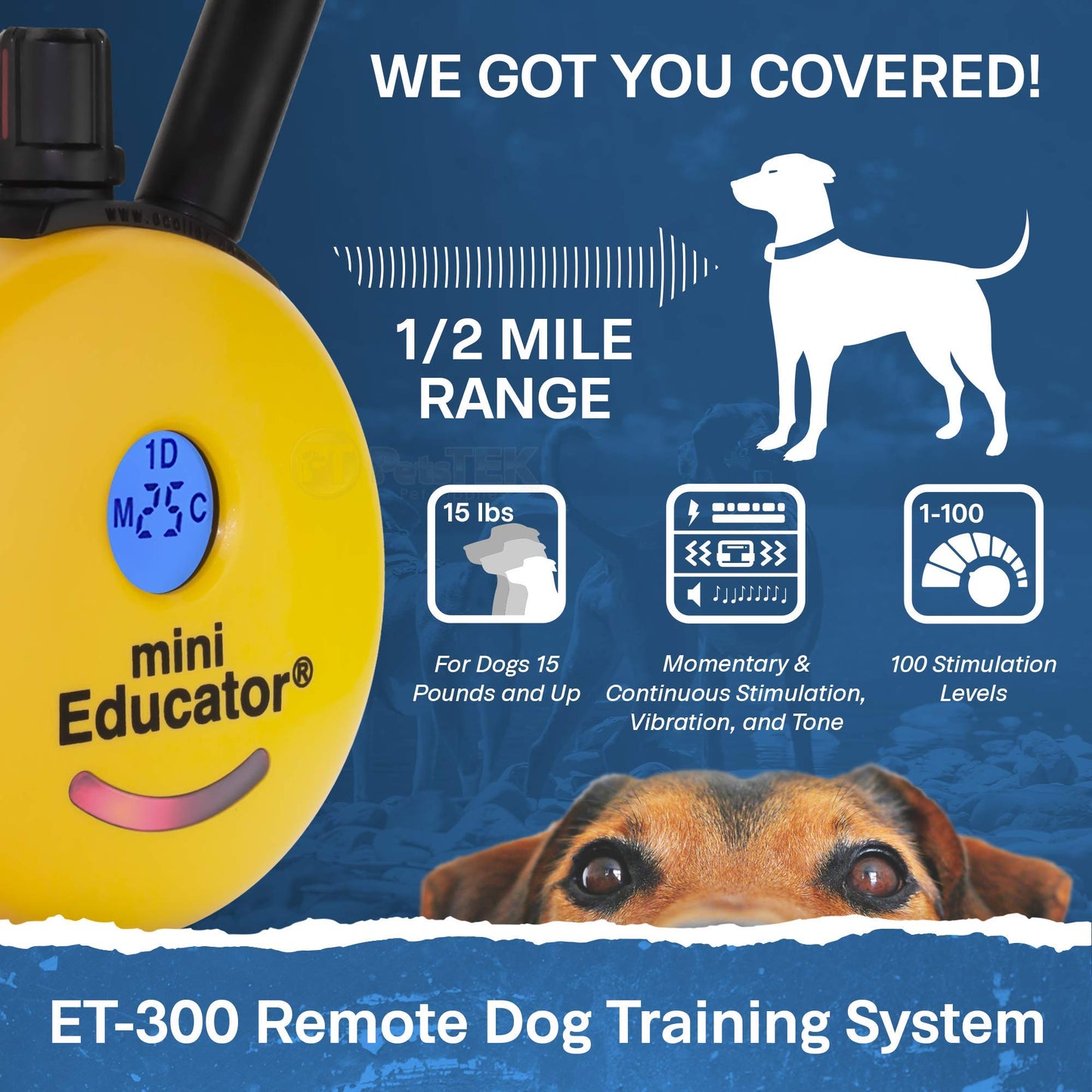 EDUCATOR ET-300 Mini E Collar - Remote Dog Training Device