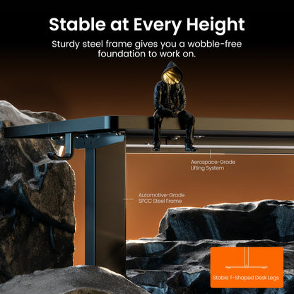 ERGEAR Height Adjustable Electric Standing Desk - Black