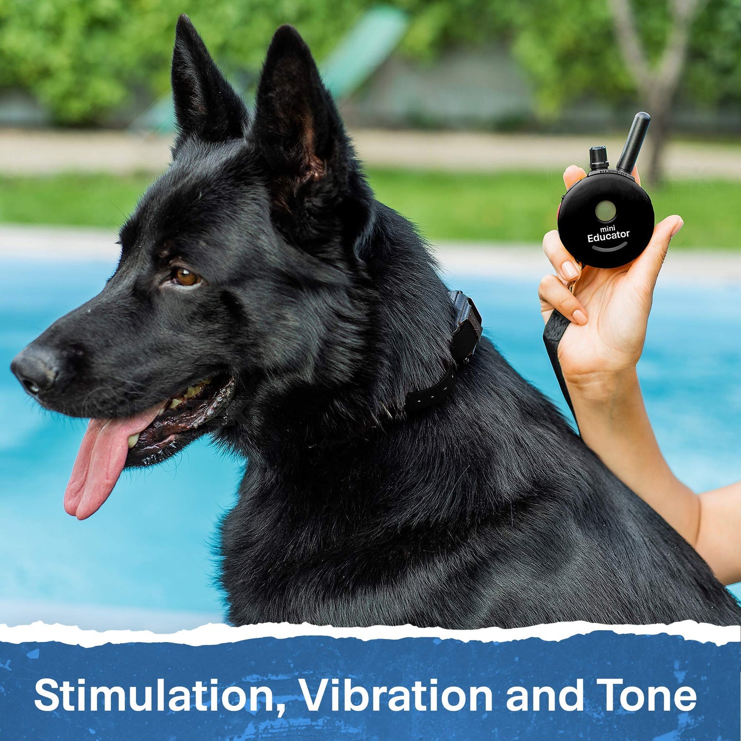 EDUCATOR ET-300 Black Mini E Collar for Dog Training Remote
