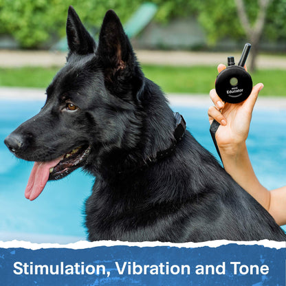EDUCATOR ET-300 Black Mini E Collar for Dog Training Remote