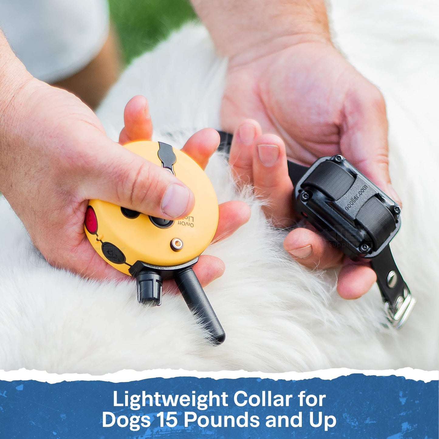 EDUCATOR ET-300 Mini E Collar - Remote Dog Training Device